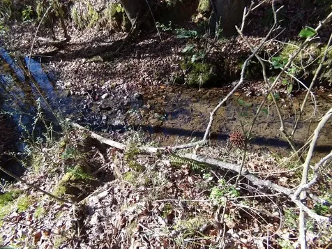 42 Ac Hwy 55 Highway Clover SC 29710