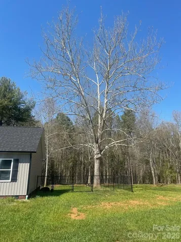 103 Falls Street Lawndale NC 28090