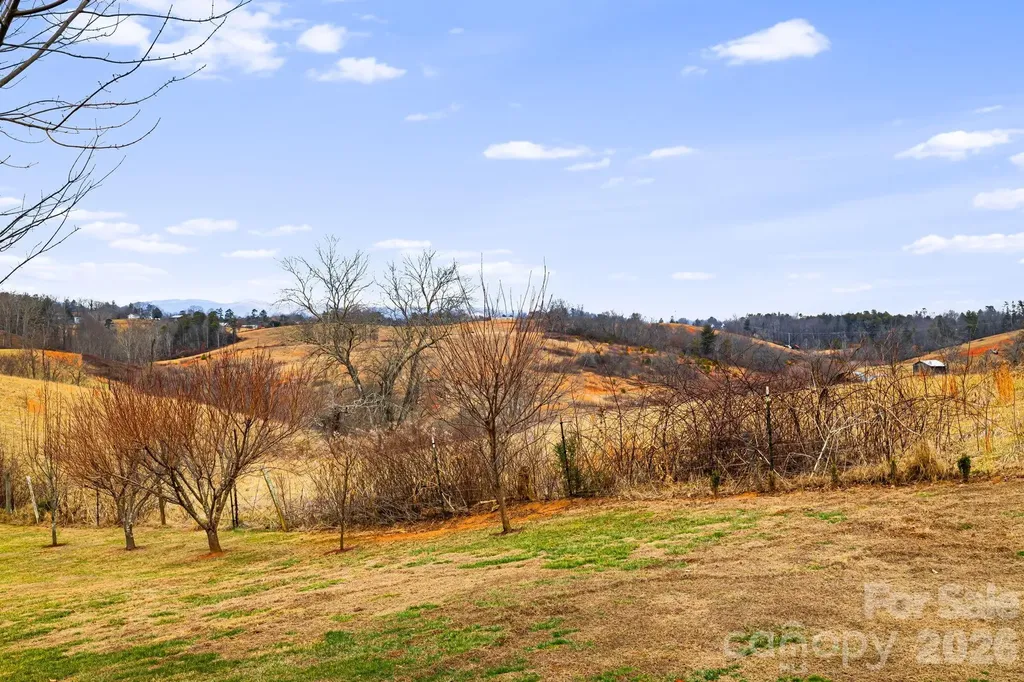 79 Bear Creek Hills Drive Leicester NC 28748