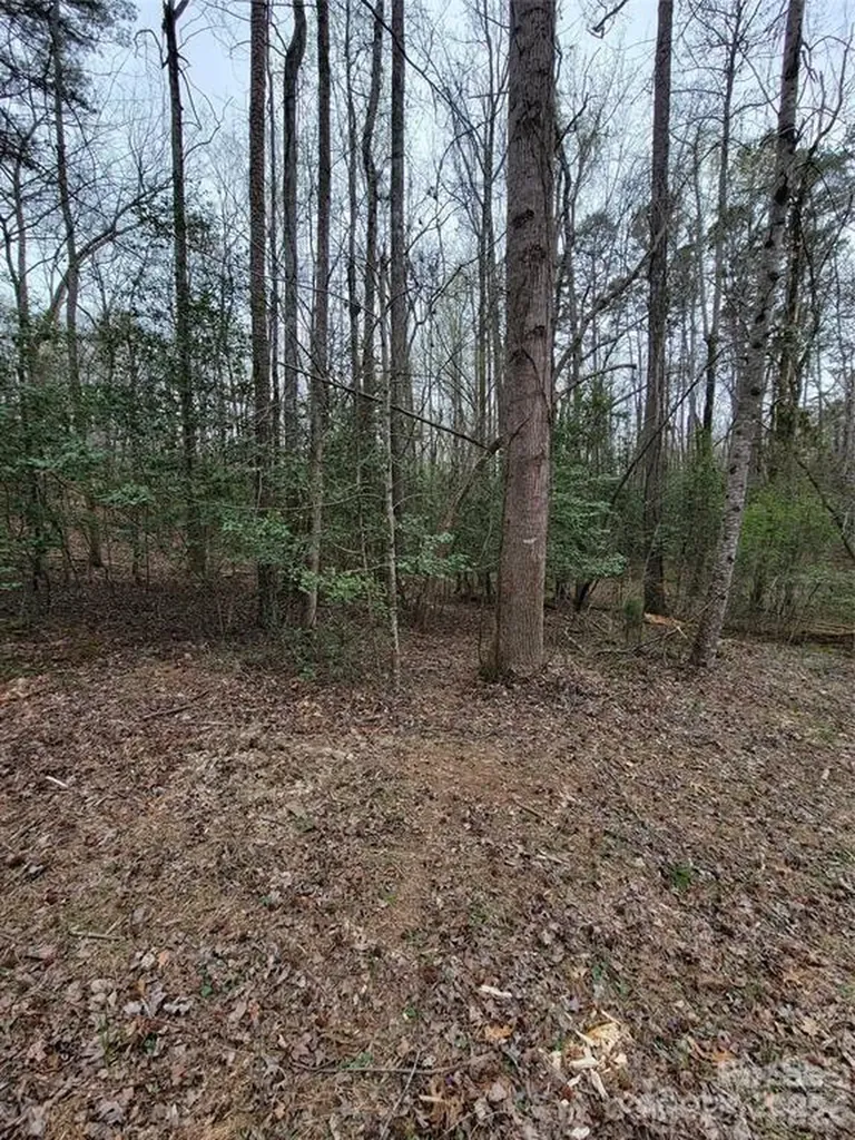 Vacant Elmwood Drive Troy NC 27371