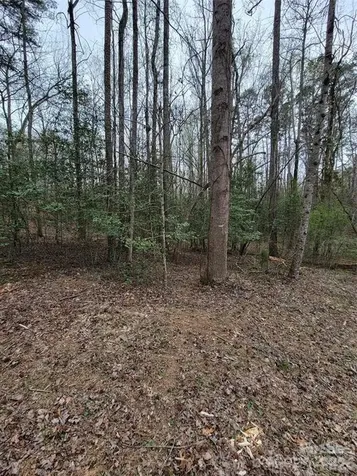 Vacant Elmwood Drive Troy NC 27371
