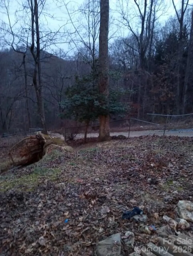 67 Earwood Ridge Road Fairview NC 28730