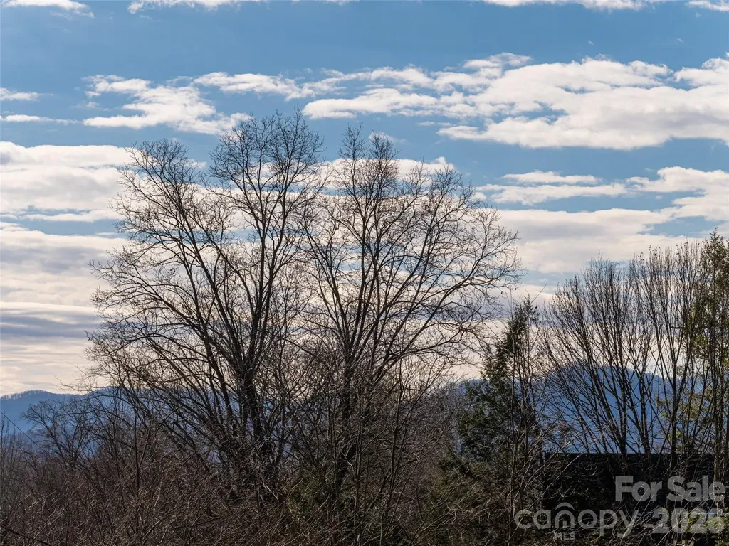 89 Vance Crescent Extension Asheville NC 28806