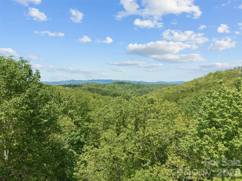 67 Ossarooga Court Brevard NC 28712