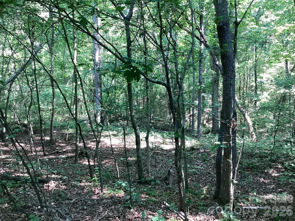 2870 Dunns Mountain Road Salisbury NC 28146