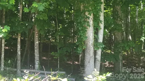 Lots 16, 17 &23 Wildwood Acres Drive Burnsville NC 28714