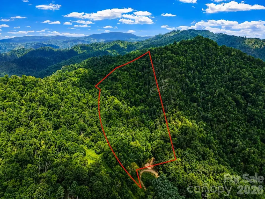 000-000 Bee Branch Road Bakersville NC 28705