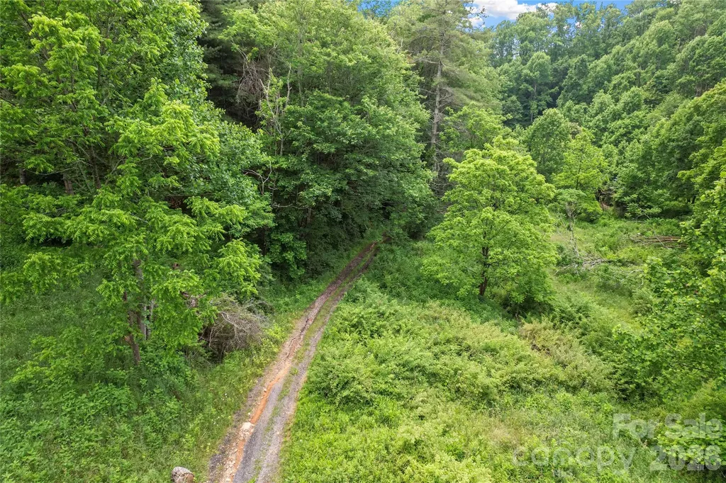 000-000 Bee Branch Road Bakersville NC 28705