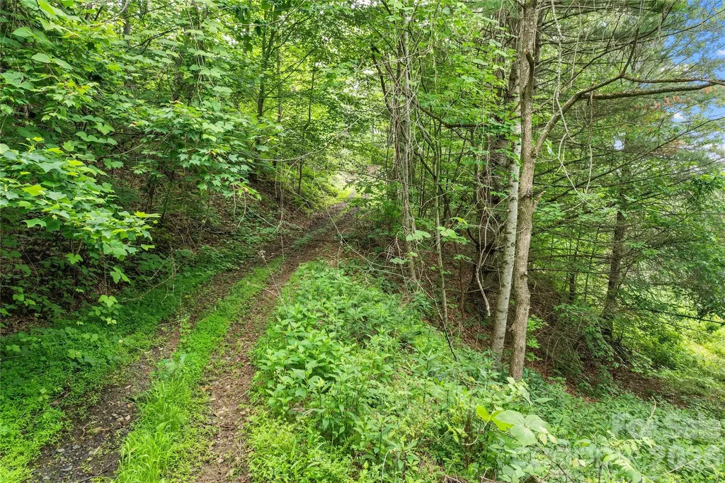 000-000 Bee Branch Road Bakersville NC 28705