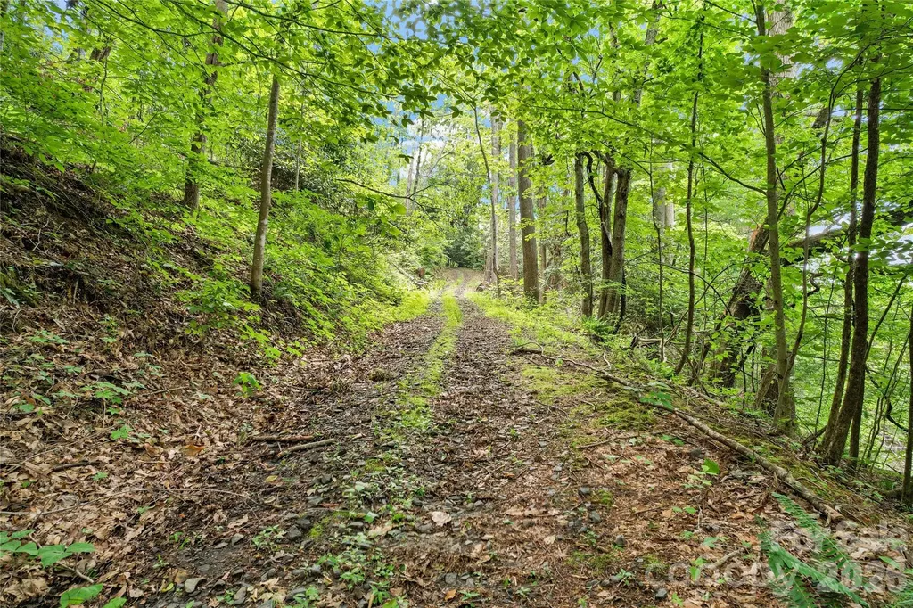 000-000 Bee Branch Road Bakersville NC 28705