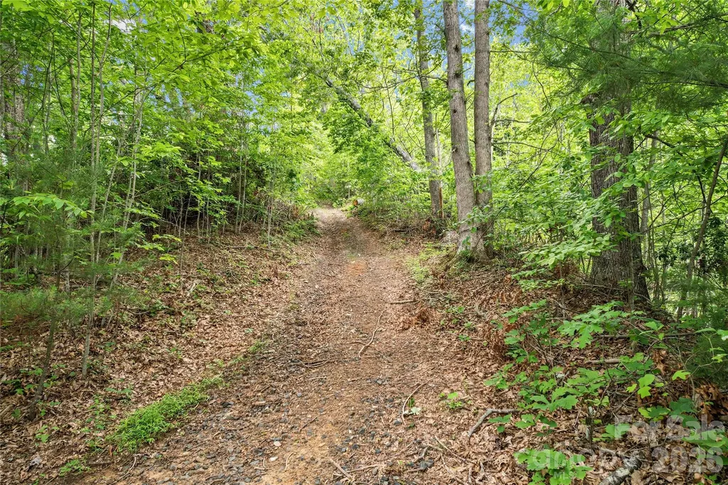 000-000 Bee Branch Road Bakersville NC 28705