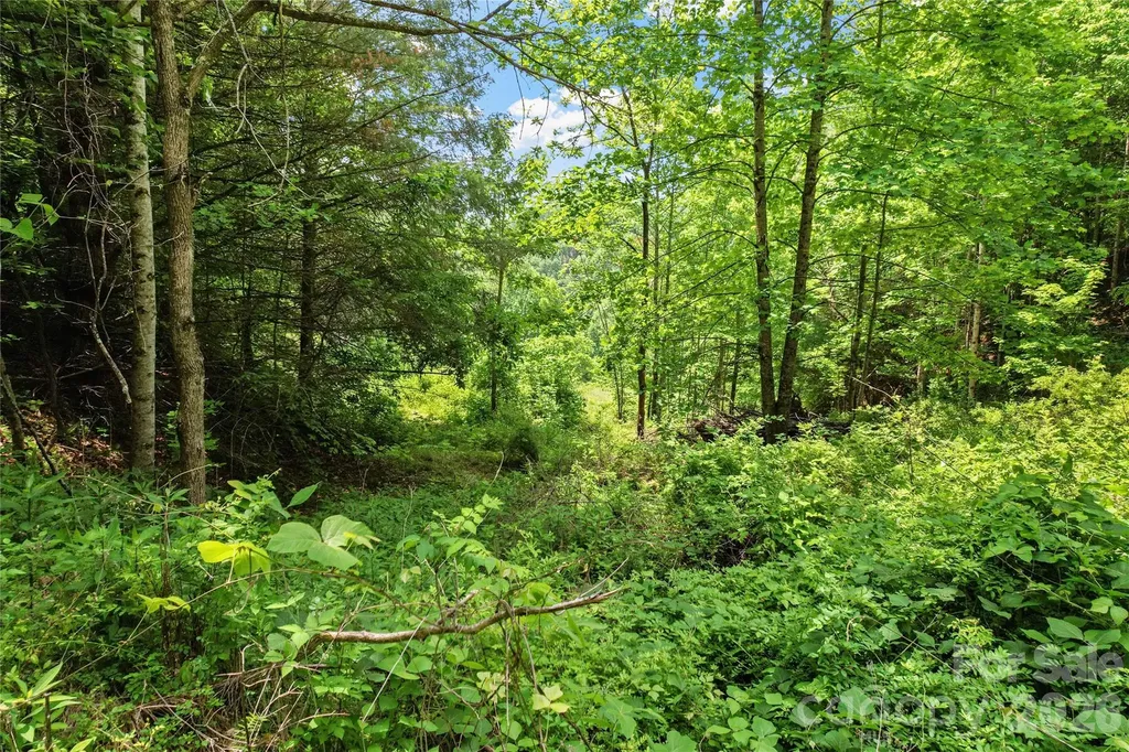 000-000 Bee Branch Road Bakersville NC 28705