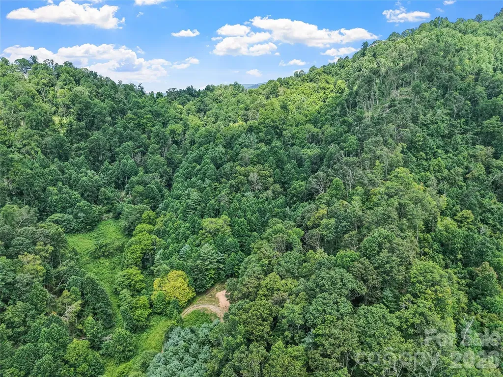 000-000 Bee Branch Road Bakersville NC 28705
