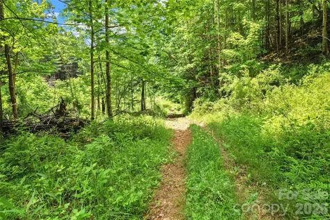 000-000 Bee Branch Road Bakersville NC 28705
