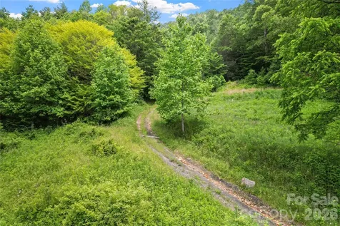 000-000 Bee Branch Road Bakersville NC 28705