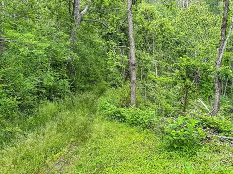 000-000 Bee Branch Road Bakersville NC 28705