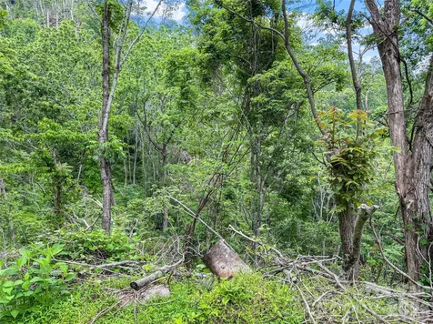 000-000 Bee Branch Road Bakersville NC 28705