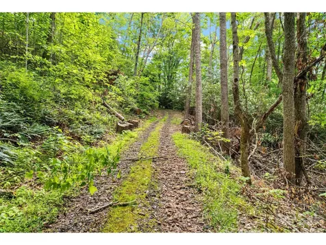 000-000 Bee Branch Road Bakersville NC 28705