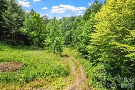 000-000 Bee Branch Road Bakersville NC 28705