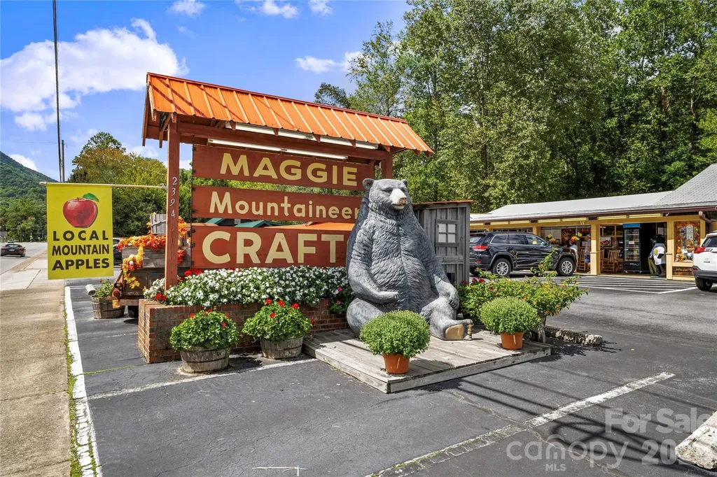 30 Sleeping Bear Ridge Maggie Valley NC 28751