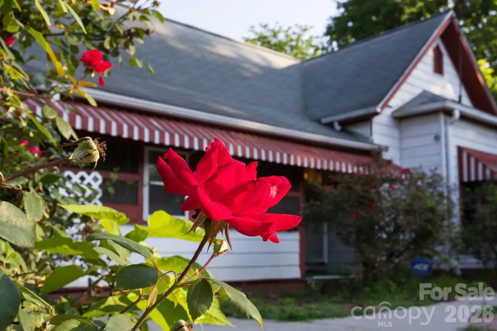 91 Clingman Avenue Asheville NC 28801
