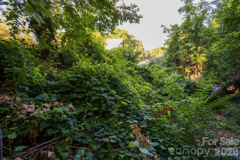91 Clingman Avenue Asheville NC 28801