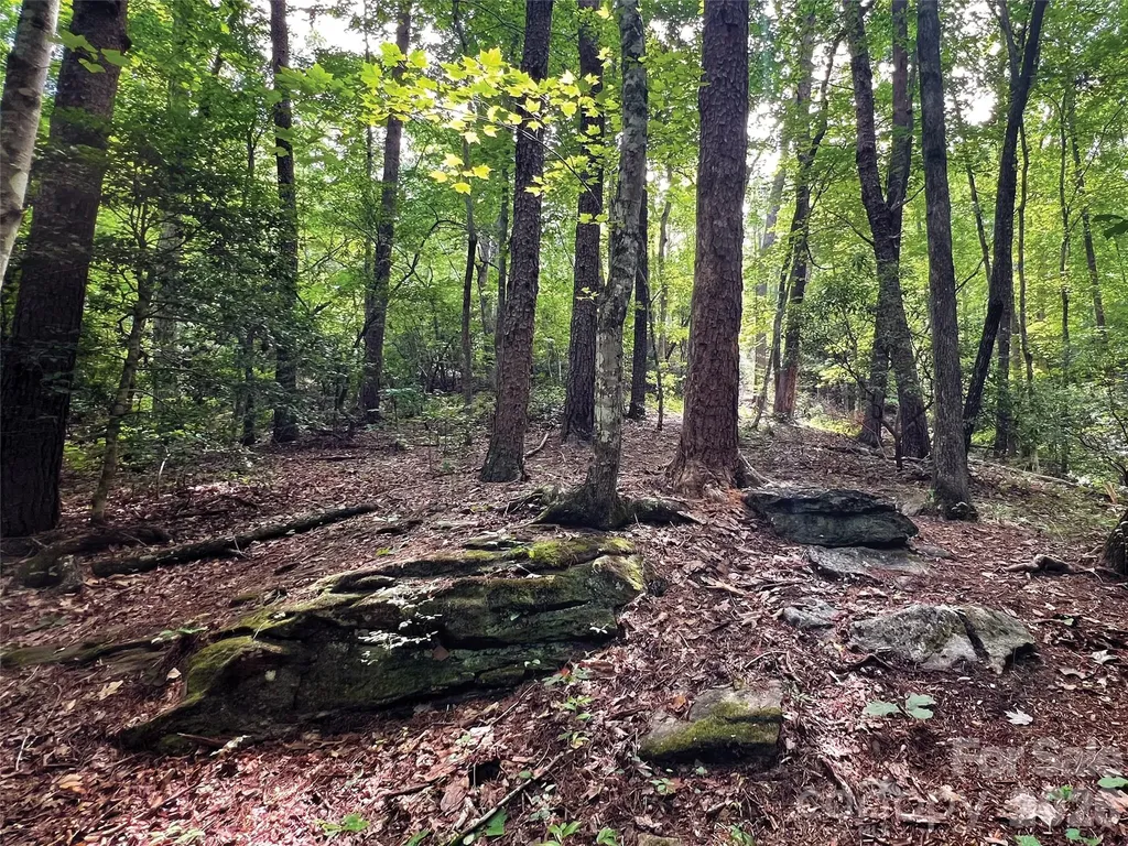 00000 Shady Bark Lane Rutherfordton NC 28139
