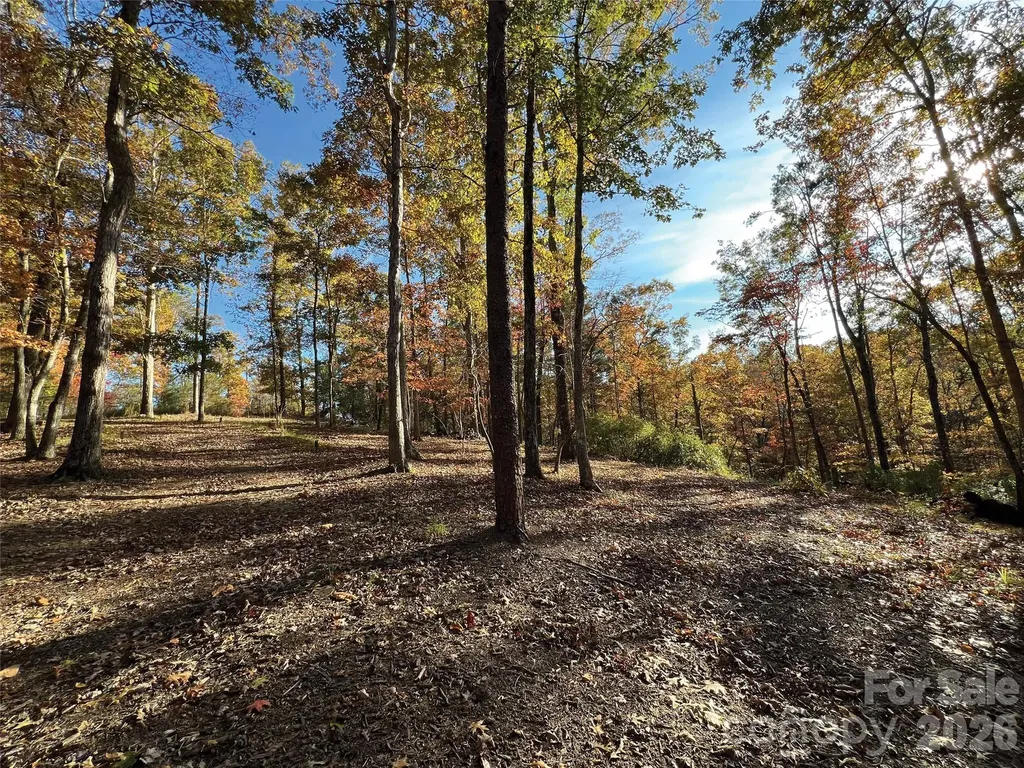 00000 Shady Bark Lane Rutherfordton NC 28139