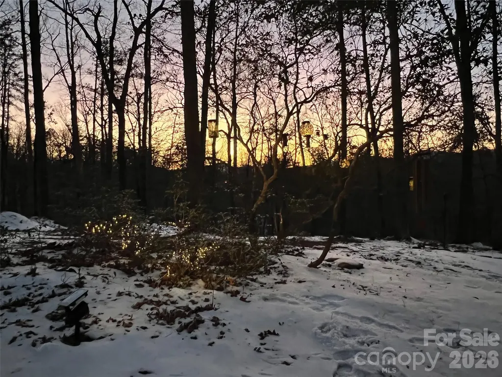 00000 Shady Bark Lane Rutherfordton NC 28139