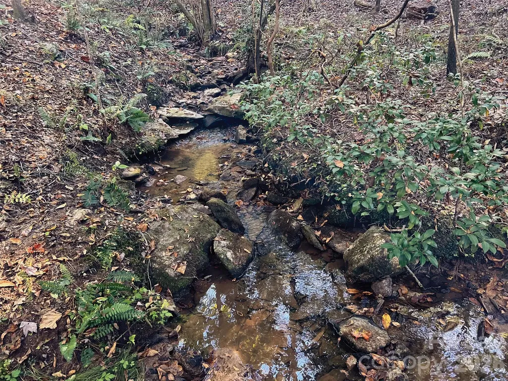 00000 Shady Bark Lane Rutherfordton NC 28139