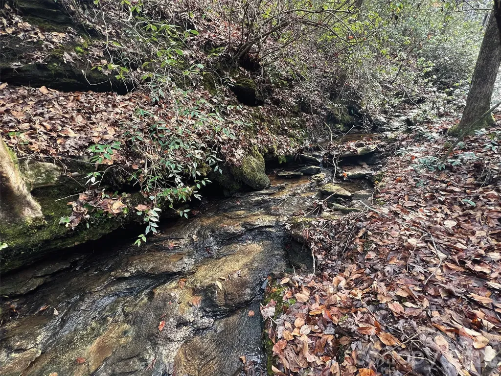 00000 Shady Bark Lane Rutherfordton NC 28139