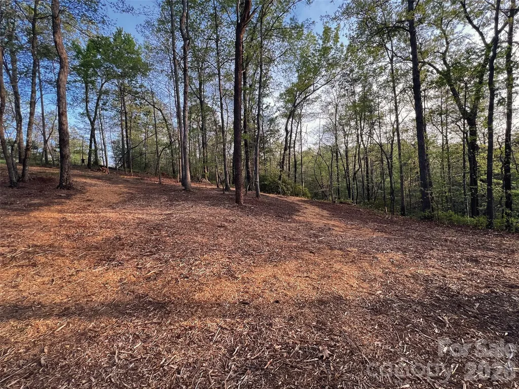00000 Shady Bark Lane Rutherfordton NC 28139