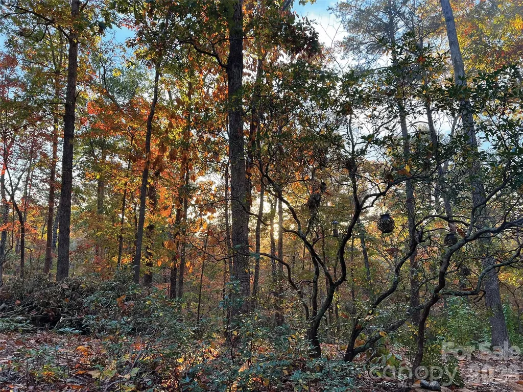 00000 Shady Bark Lane Rutherfordton NC 28139
