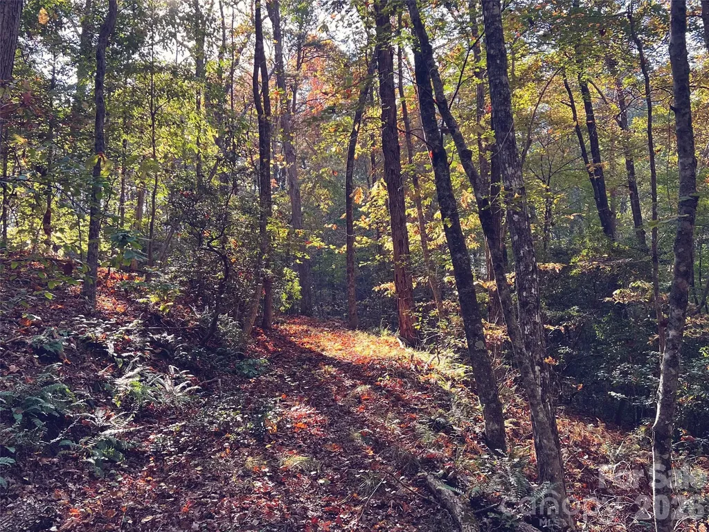 00000 Shady Bark Lane Rutherfordton NC 28139