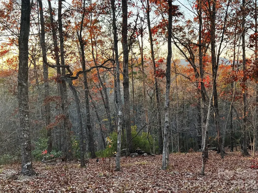 00000 Shady Bark Lane Rutherfordton NC 28139