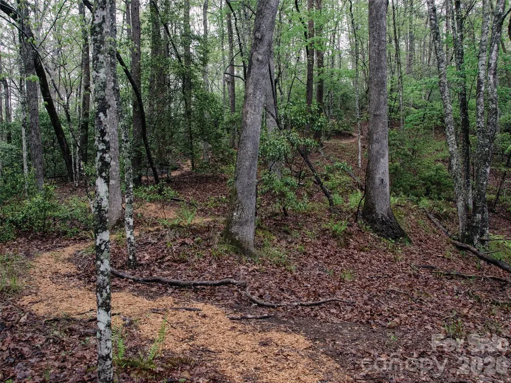 00000 Shady Bark Lane Rutherfordton NC 28139