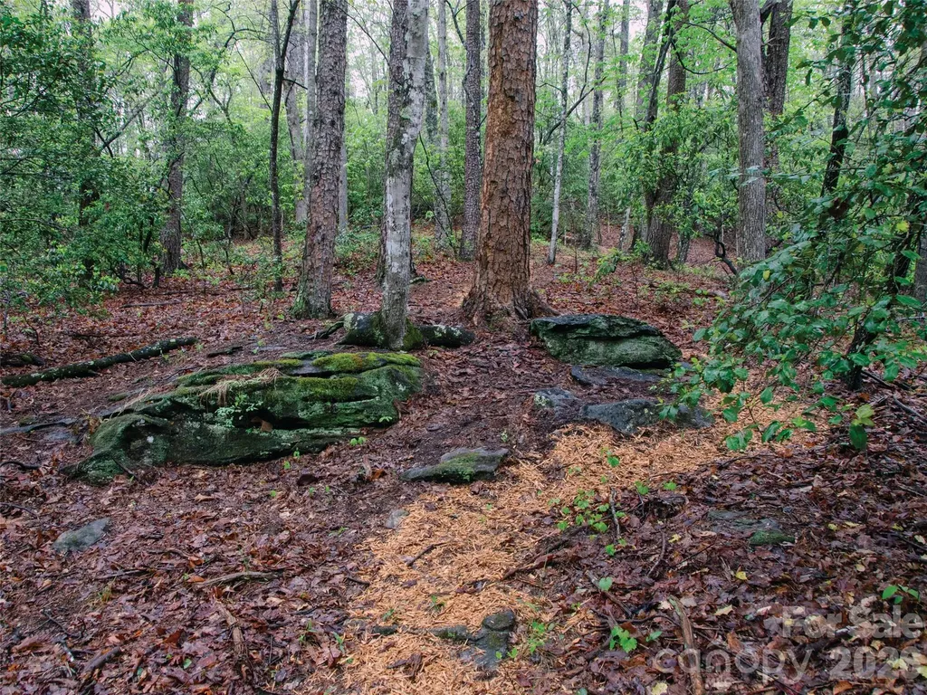 00000 Shady Bark Lane Rutherfordton NC 28139