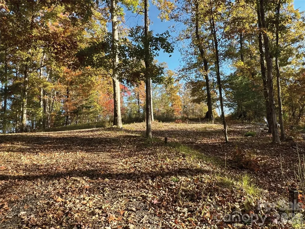 00000 Shady Bark Lane Rutherfordton NC 28139
