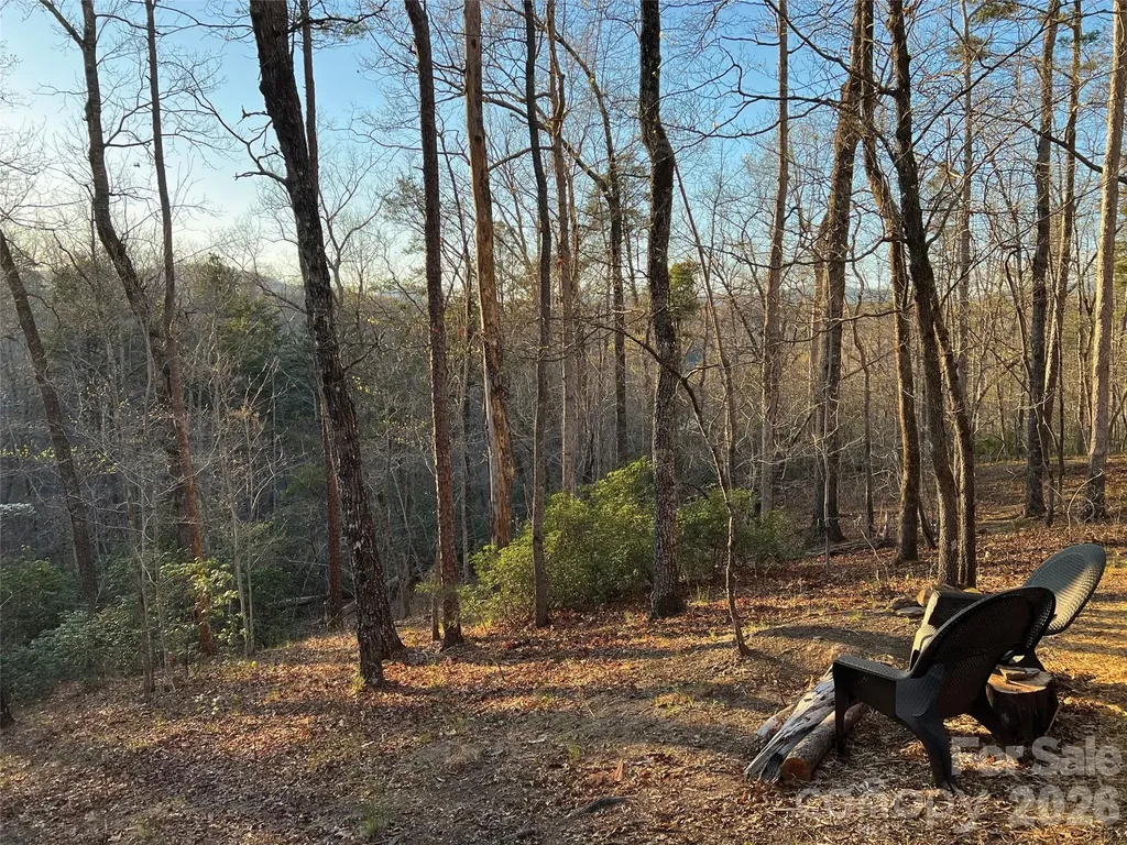 00000 Shady Bark Lane Rutherfordton NC 28139