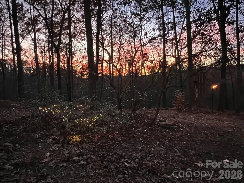 00000 Shady Bark Lane Rutherfordton NC 28139
