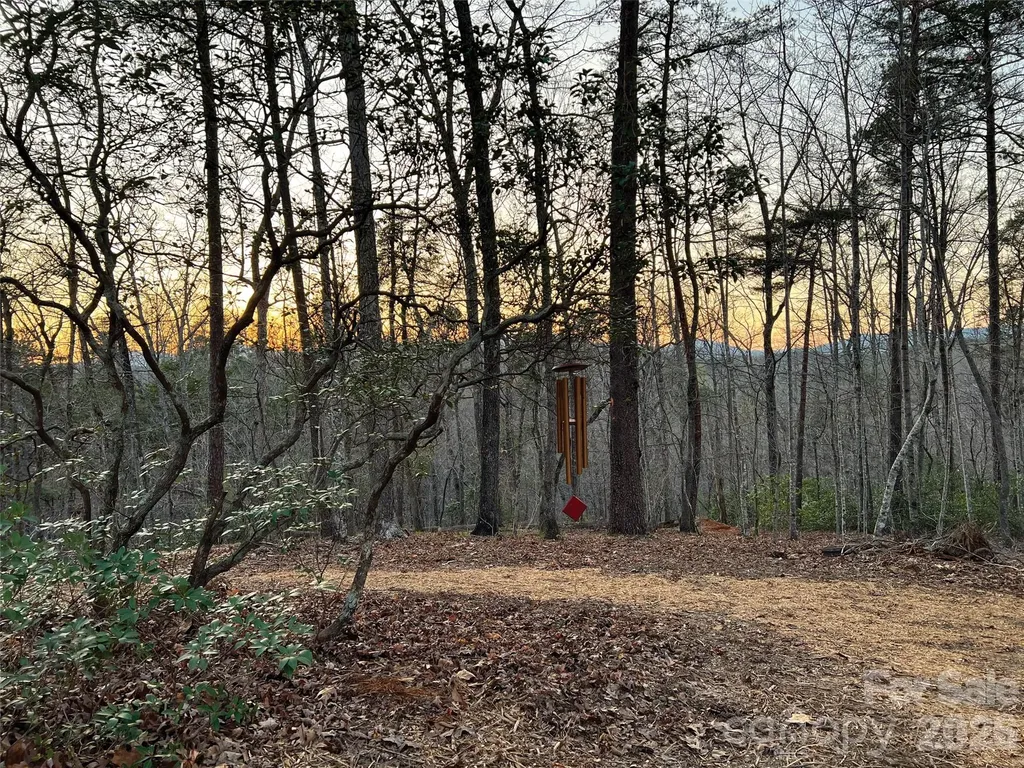 00000 Shady Bark Lane Rutherfordton NC 28139