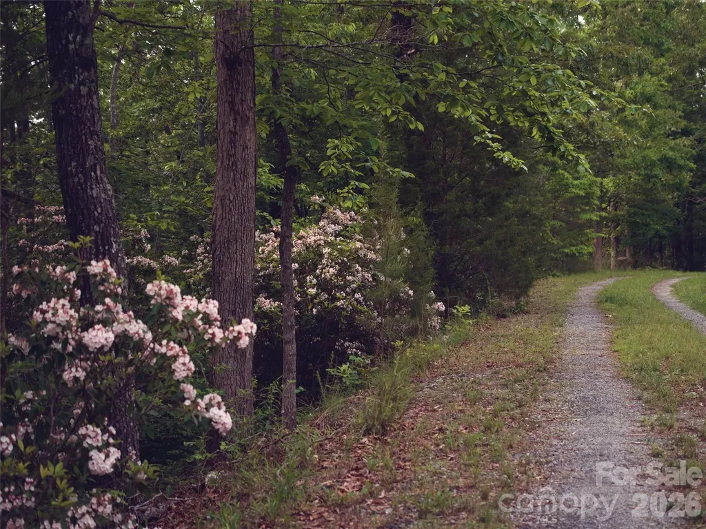 00000 Shady Bark Lane Rutherfordton NC 28139