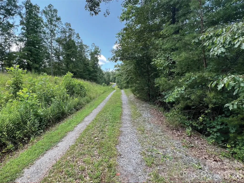 00000 Shady Bark Lane Rutherfordton NC 28139