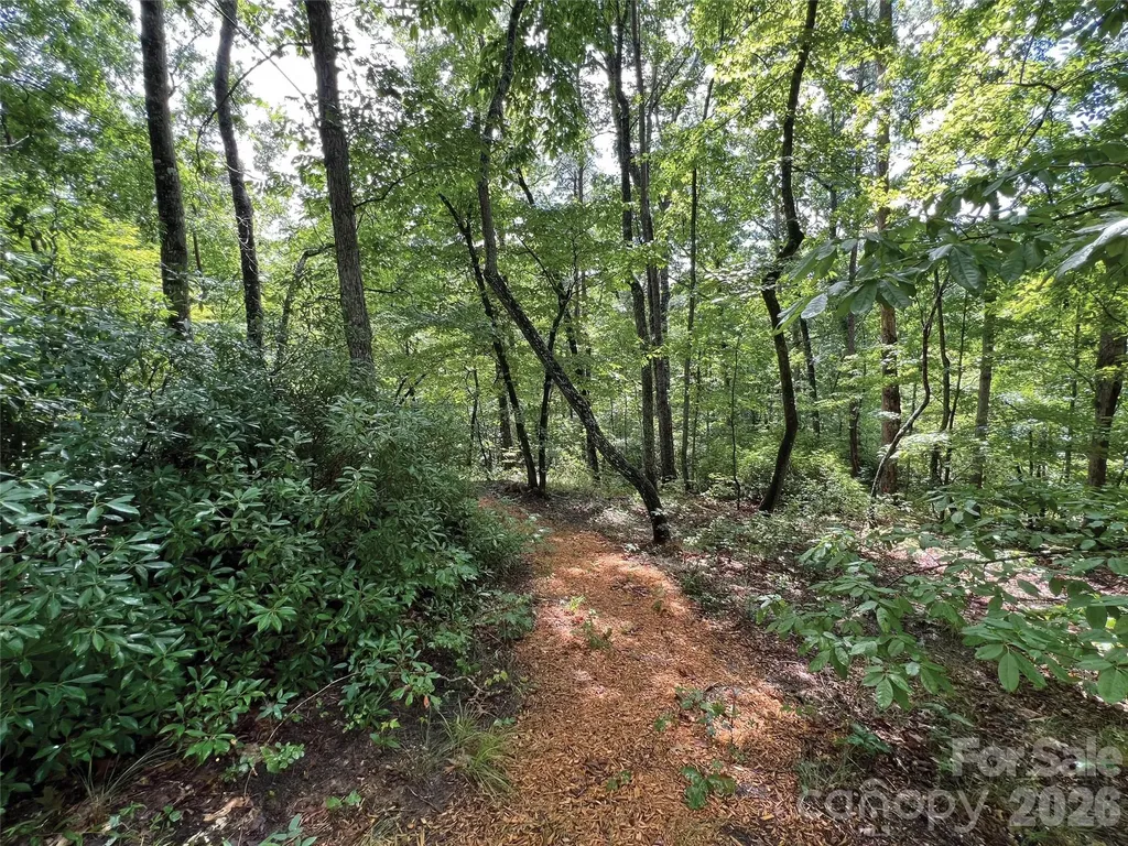 00000 Shady Bark Lane Rutherfordton NC 28139