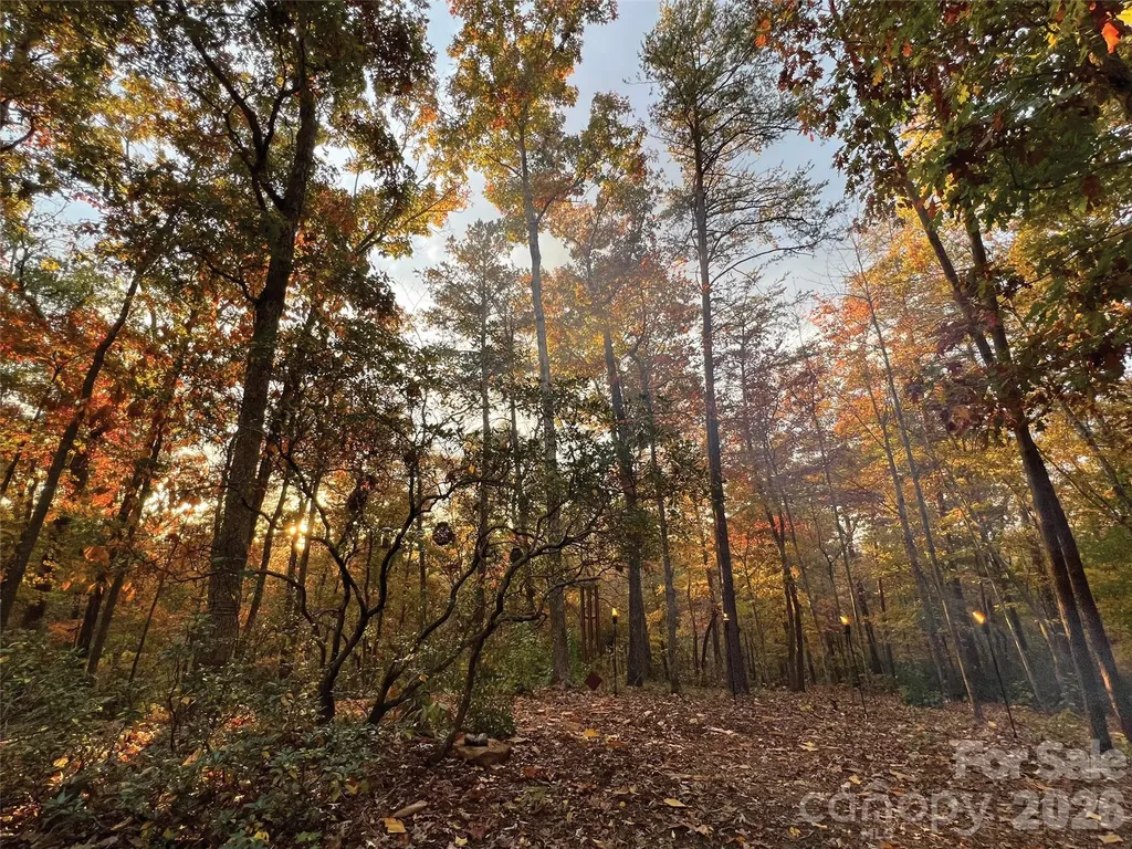 00000 Shady Bark Lane Rutherfordton NC 28139