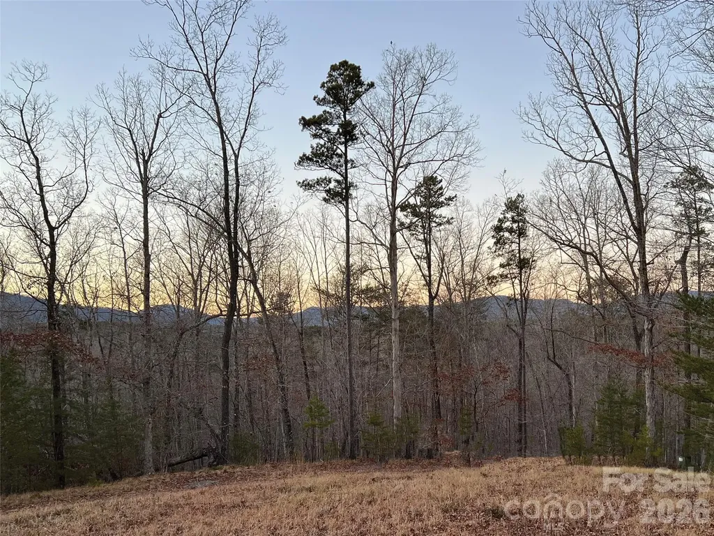 00000 Shady Bark Lane Rutherfordton NC 28139