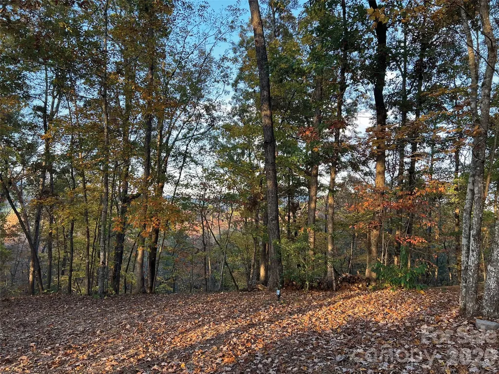 00000 Shady Bark Lane Rutherfordton NC 28139