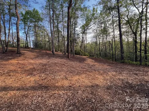 00000 Shady Bark Lane Rutherfordton NC 28139