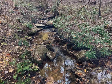 00000 Shady Bark Lane Rutherfordton NC 28139