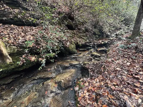 00000 Shady Bark Lane Rutherfordton NC 28139
